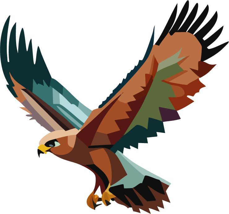 Hawk Asset Alt Large